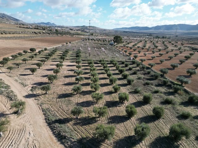 Terreno/Finca Rústica en La Alqueria, Jumilla en venta - 60.500 € (Ref: 10072815)