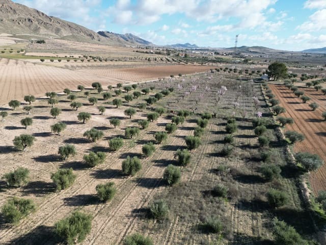 Terreno/Finca Rústica en La Alqueria, Jumilla en venta - 60.500 € (Ref: 10072815)