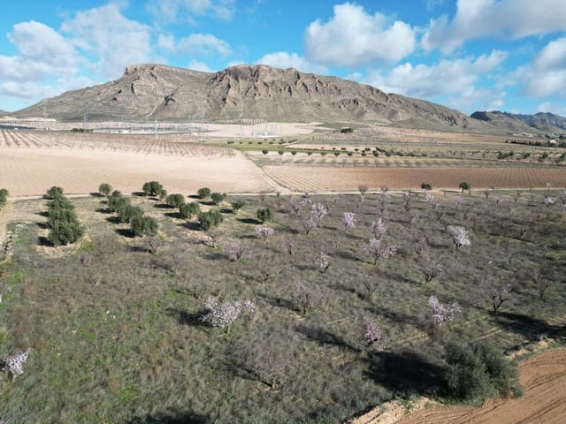 Terreno/Finca Rústica en La Alqueria, Jumilla en venta - 60.500 € (Ref: 10072815)