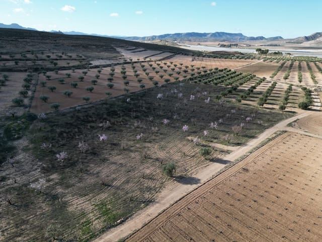 Terreno/Finca Rústica en La Alqueria, Jumilla en venta - 60.500 € (Ref: 10072815)
