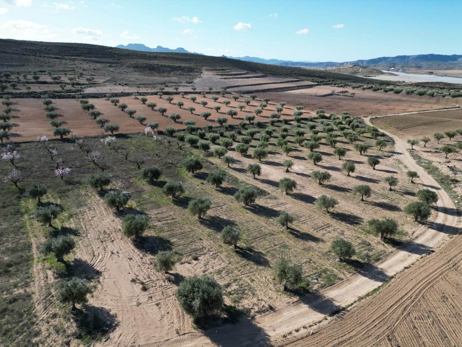 Terreno/Finca Rústica en La Alqueria en venta - 60.500 € (Ref: 10072815)