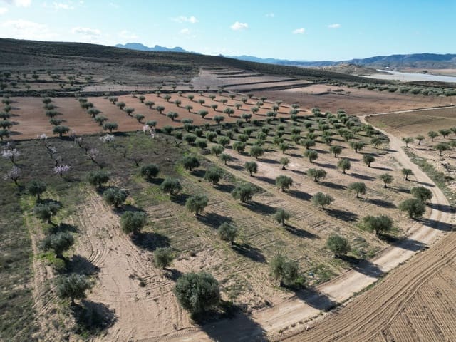 Terreno/Finca Rústica en La Alqueria, Jumilla en venta - 60.500 € (Ref: 10072815)