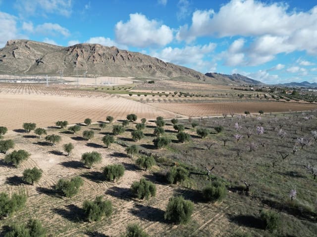 Terreno/Finca Rústica en La Alqueria, Jumilla en venta - 60.500 € (Ref: 10072815)