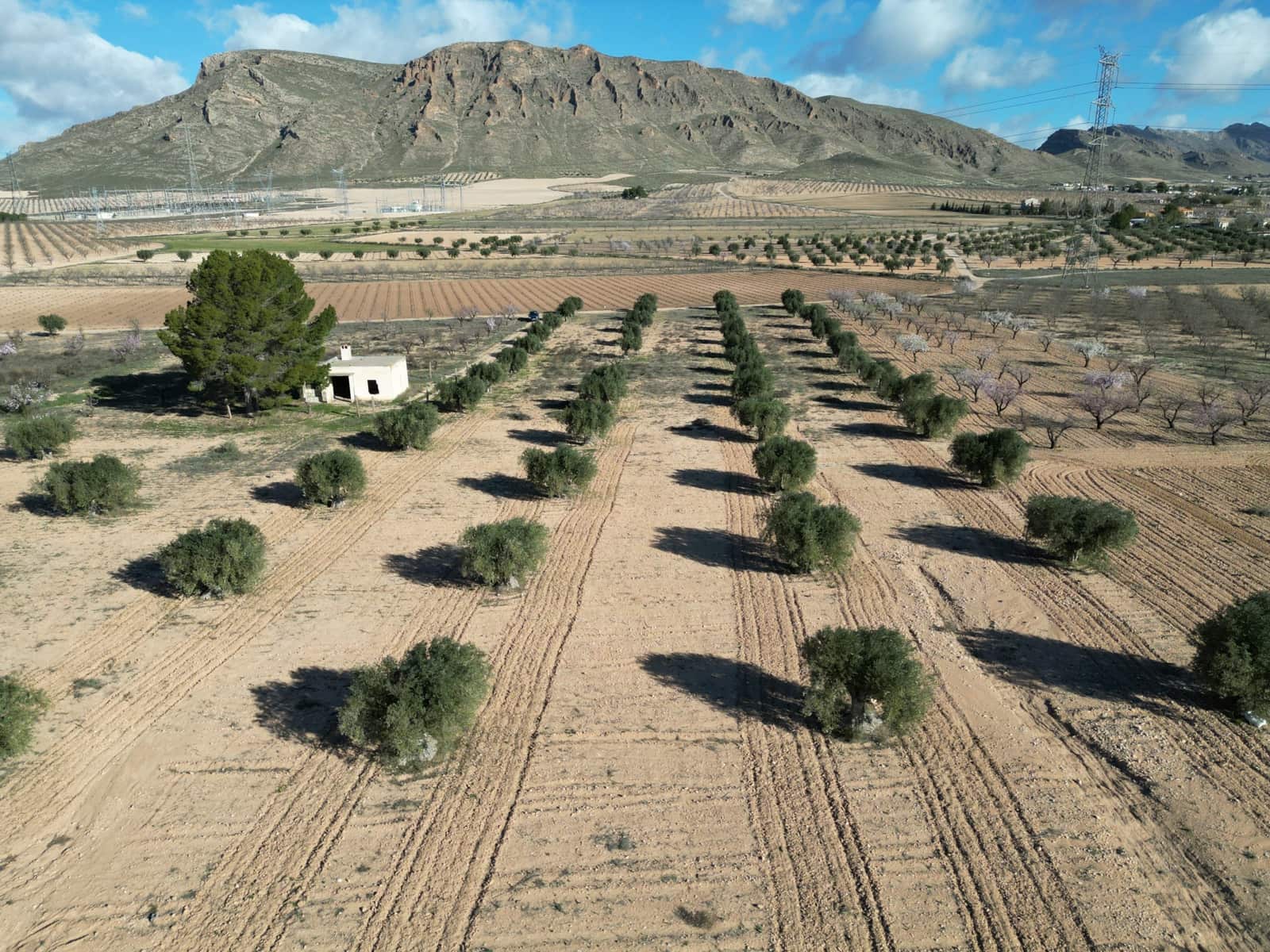 Terreno/Finca Rústica en La Alqueria en venta - 105.000 € (Ref: 10072817)