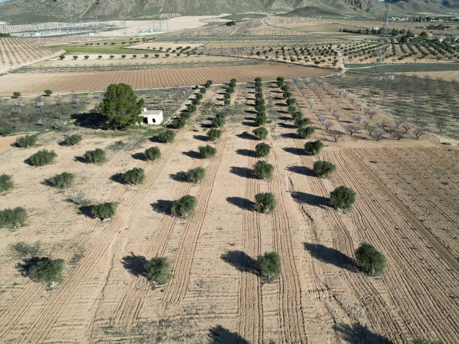 Terreno/Finca Rústica en La Alqueria en venta - 105.000 € (Ref: 10072817)