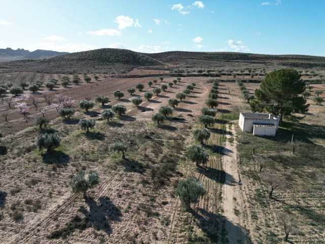 Terreno/Finca Rústica en La Alqueria, Jumilla en venta - 105.000 € (Ref: 10072817)