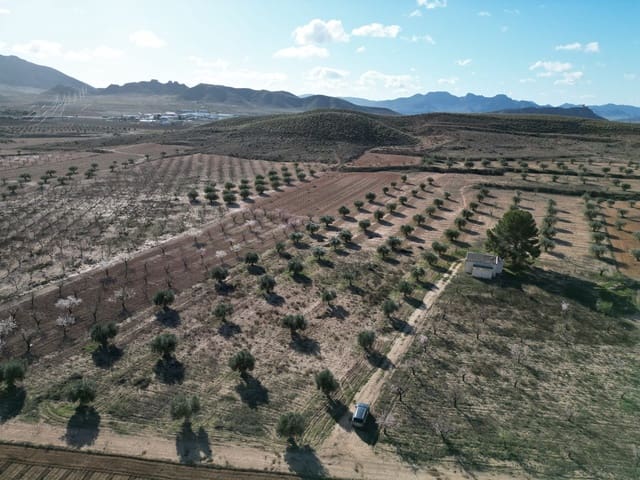 Terreno/Finca Rústica en La Alqueria, Jumilla en venta - 105.000 € (Ref: 10072817)