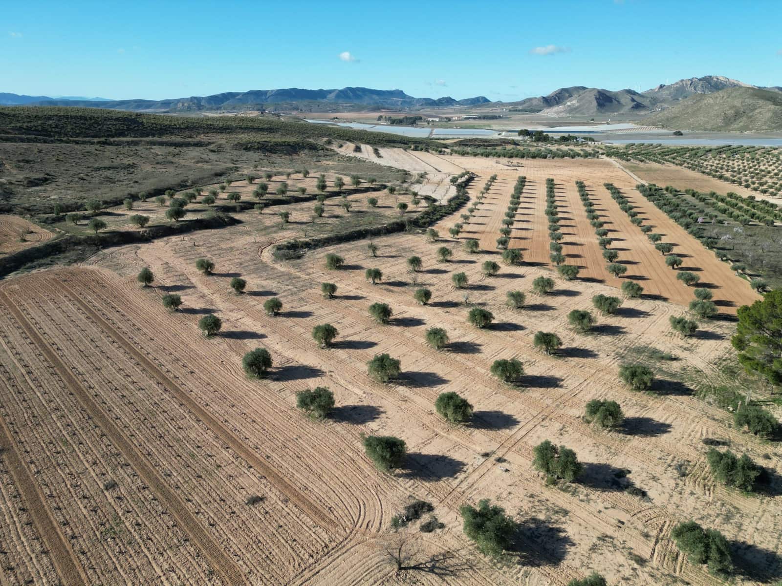 Terreno/Finca Rústica en La Alqueria en venta - 105.000 € (Ref: 10072817)