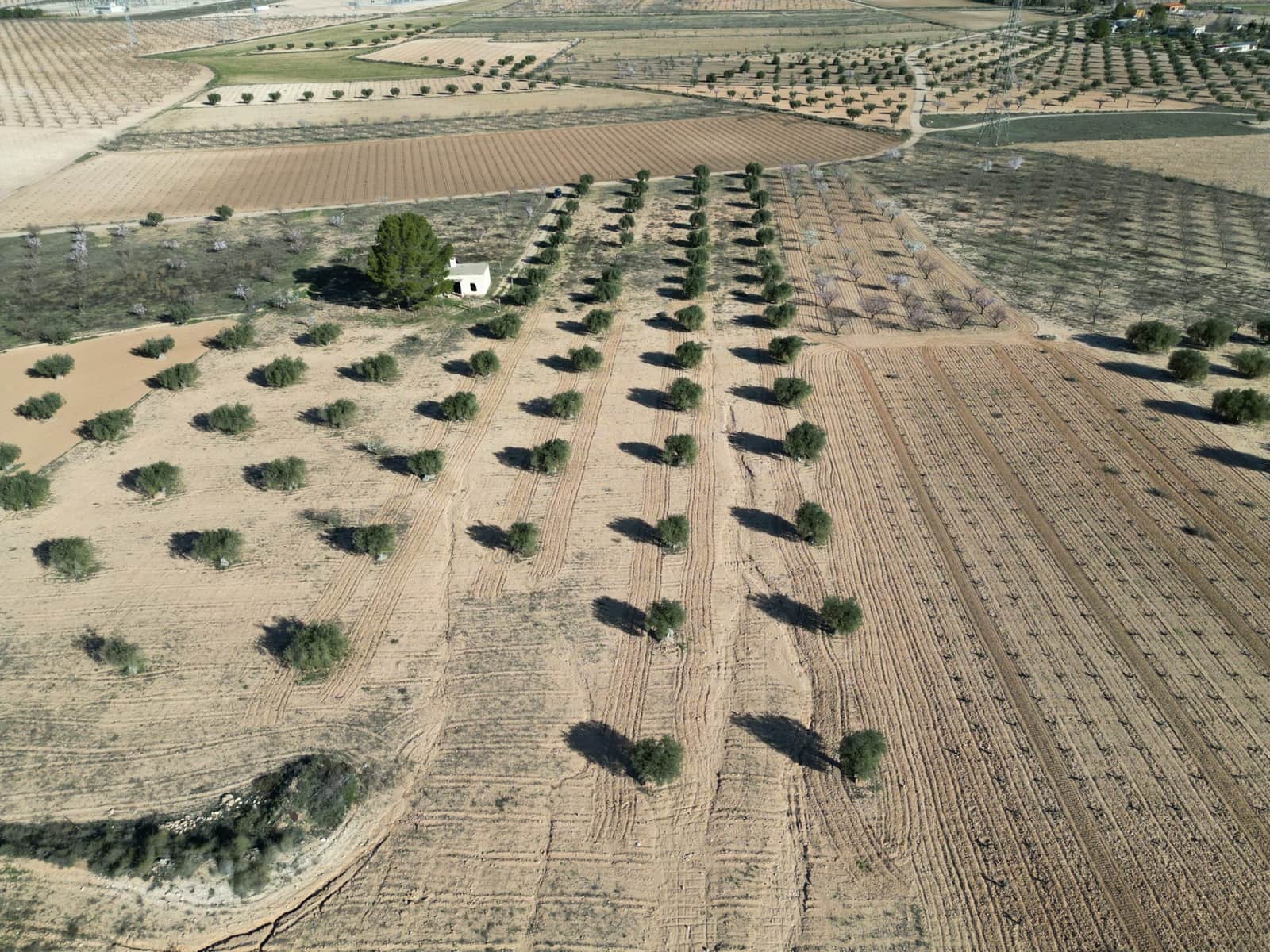 Terreno/Finca Rústica en La Alqueria en venta - 105.000 € (Ref: 10072817)