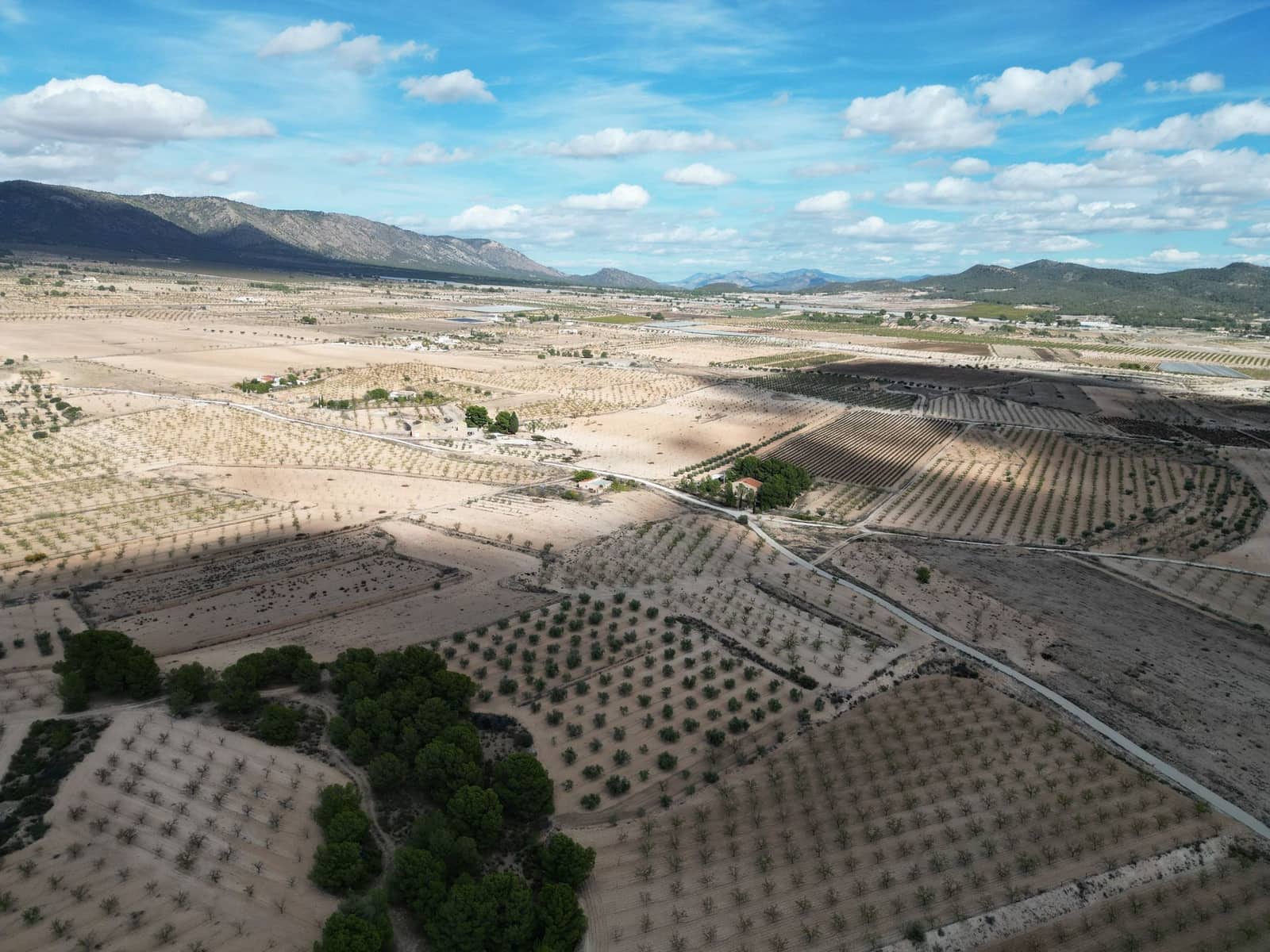 Terreno Não Urbanizado para venda em Pinoso - 49 500 € (Ref: 10072822)