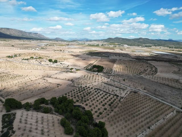 Terreno Não Urbanizado para venda em Pinoso - 49 500 € (Ref: 10072822)