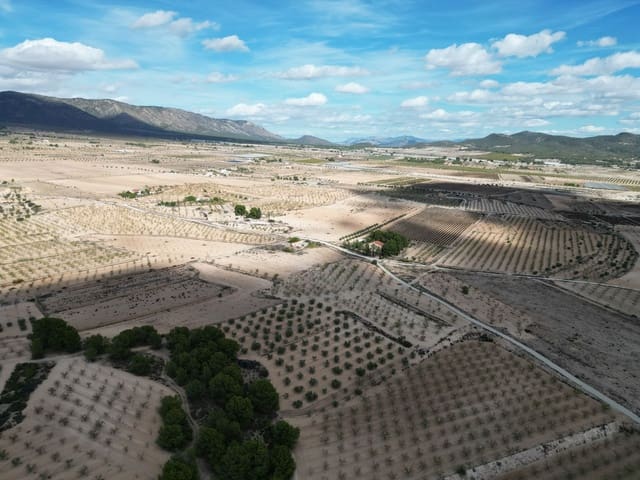 Terreno Não Urbanizado para venda em Pinoso - 49 500 € (Ref: 10072822)