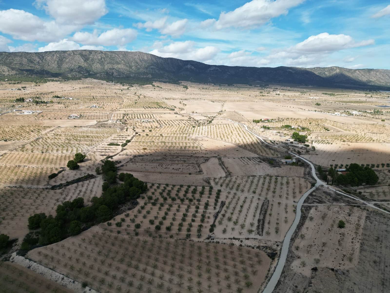 Terreno Não Urbanizado para venda em Pinoso - 49 500 € (Ref: 10072822)