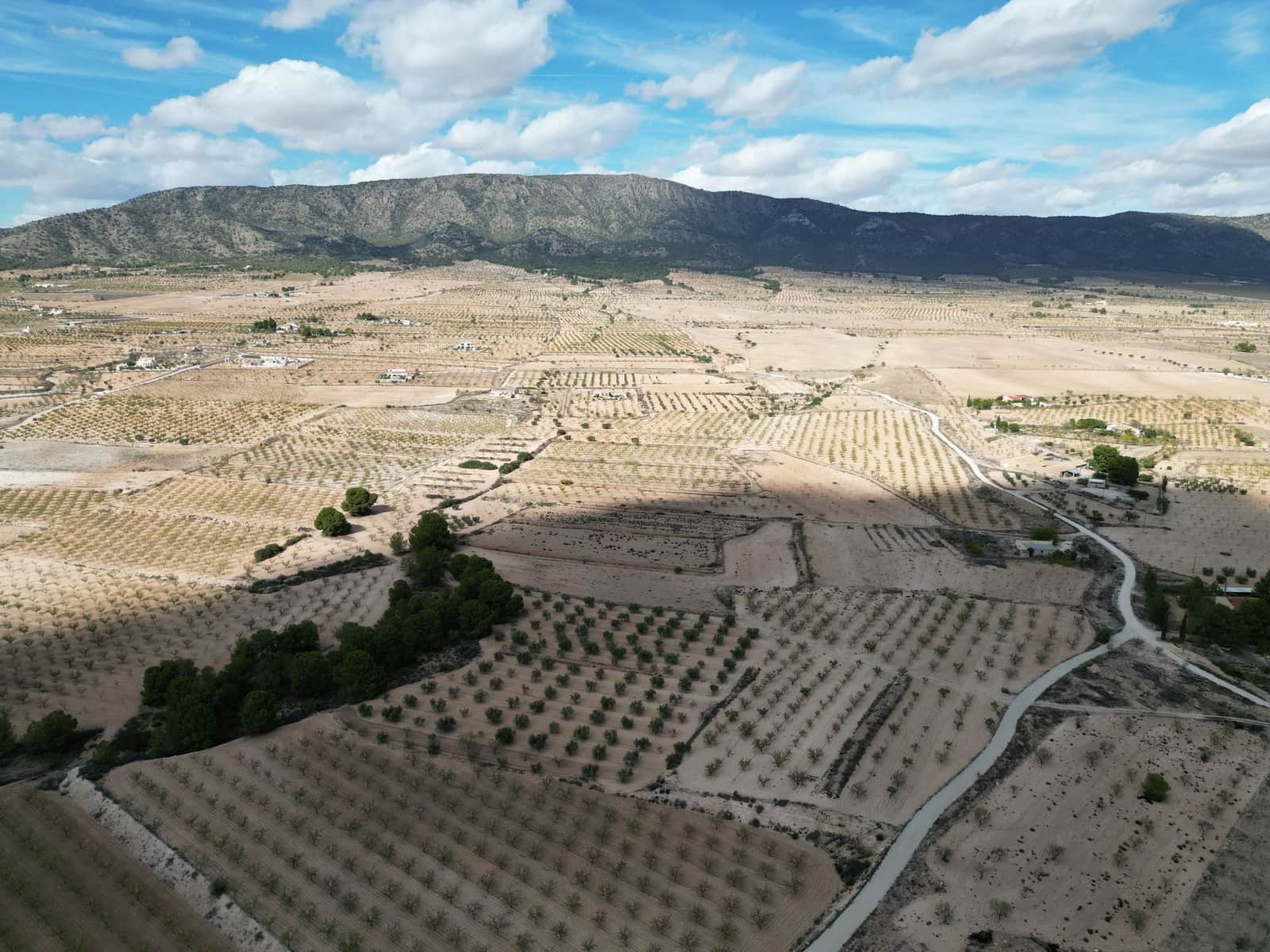 Terreno Não Urbanizado para venda em Pinoso - 49 500 € (Ref: 10072822)