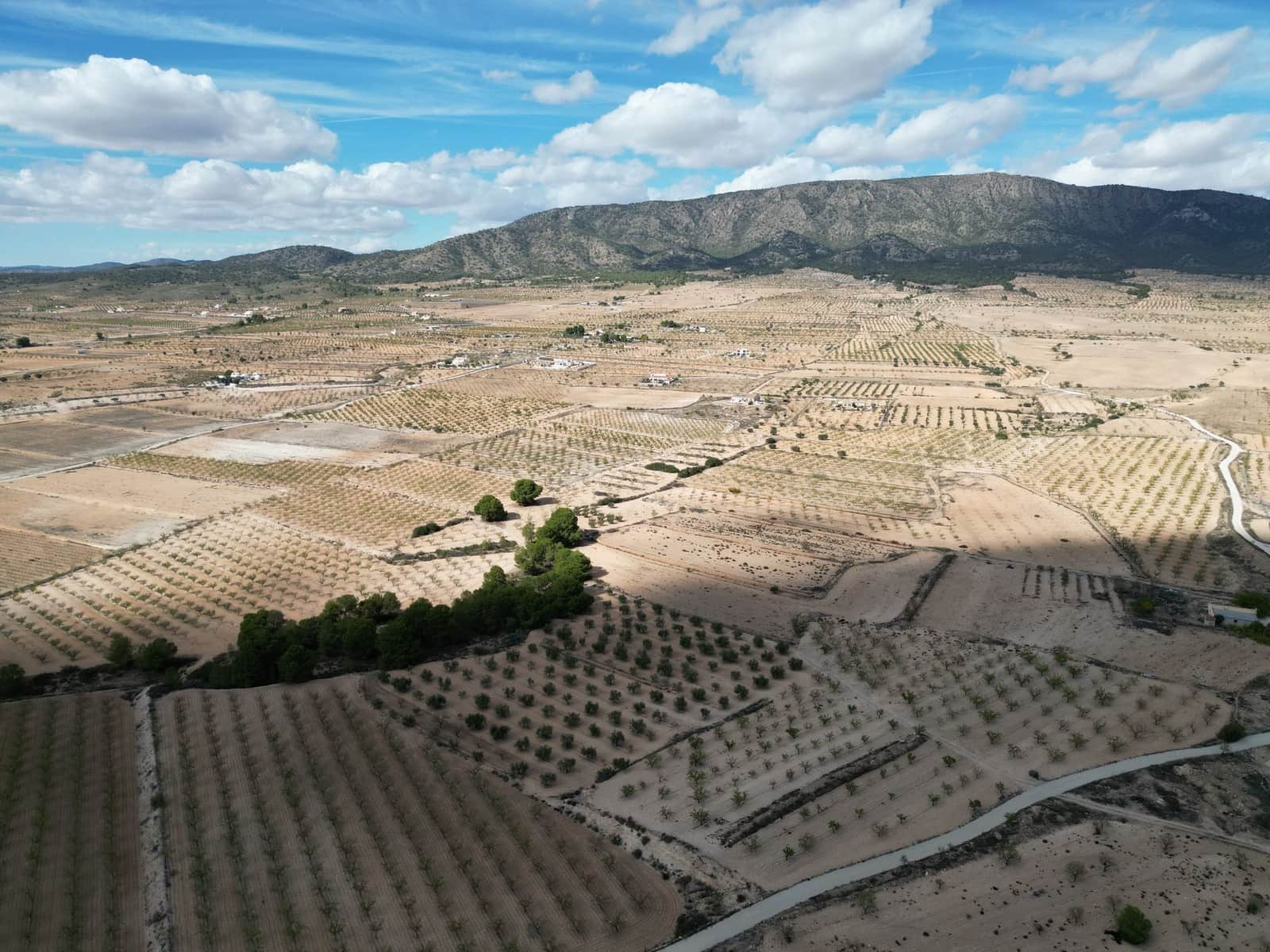 Terreno Não Urbanizado para venda em Pinoso - 49 500 € (Ref: 10072822)