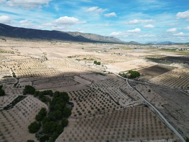 Terreno Não Urbanizado para venda em Pinoso - 49 500 € (Ref: 10072822)