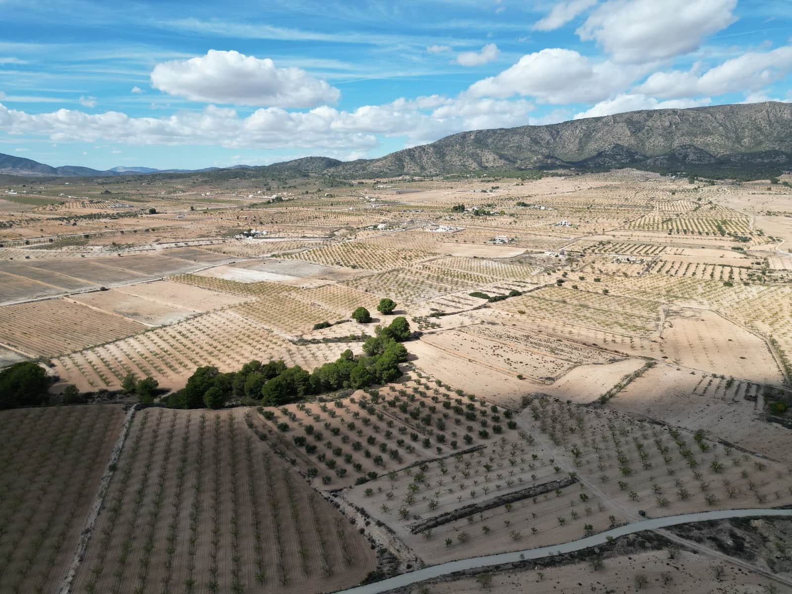 Terreno Não Urbanizado para venda em Pinoso - 49 500 € (Ref: 10072822)