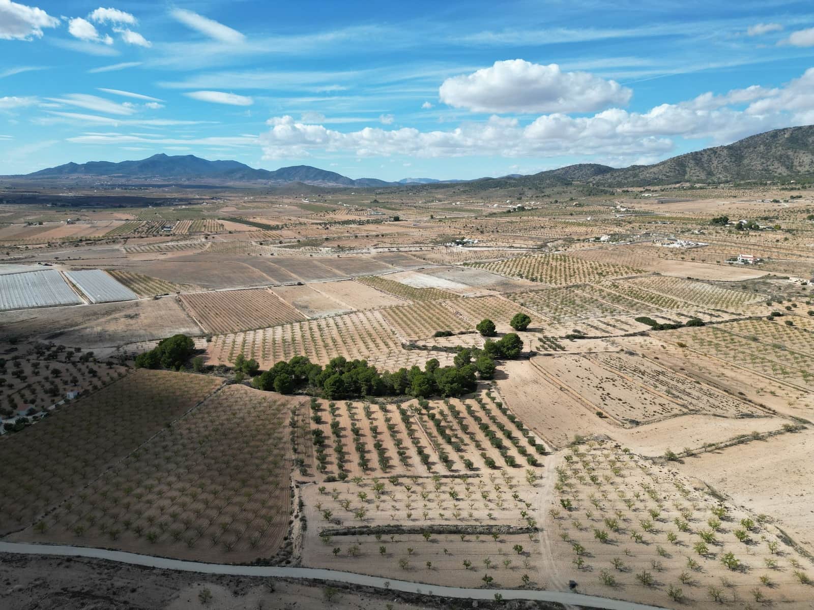 Terreno Não Urbanizado para venda em Pinoso - 49 500 € (Ref: 10072822)