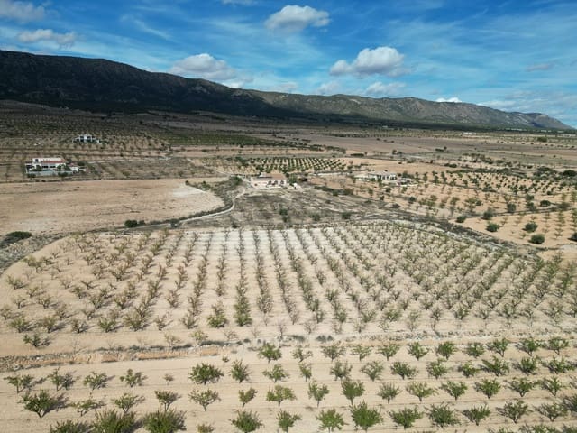 Landgrundstück zu verkaufen in Pinoso - 49.500 € (Ref: 10072823)