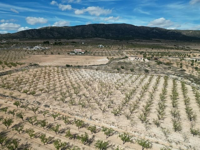 Landgrundstück zu verkaufen in Pinoso - 49.500 € (Ref: 10072823)