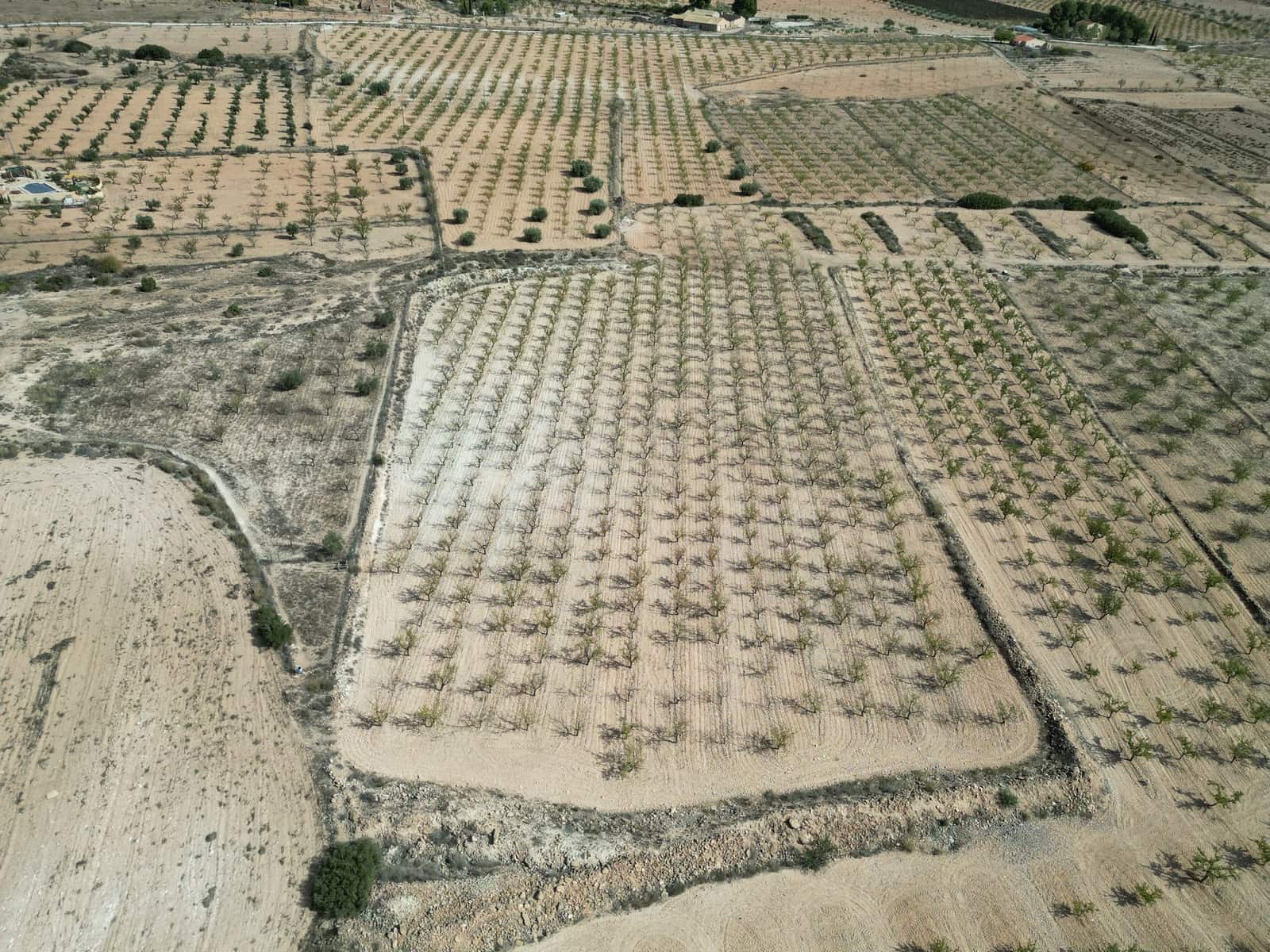 Landgrundstück zu verkaufen in Pinoso - 49.500 € (Ref: 10072823)