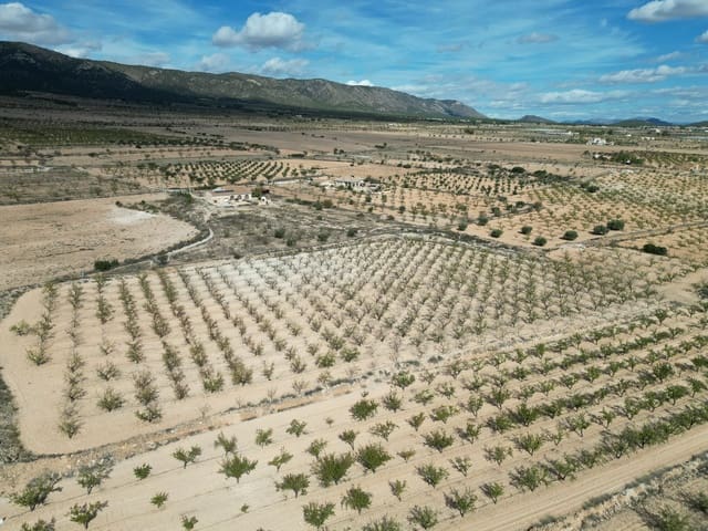 Landgrundstück zu verkaufen in Pinoso - 49.500 € (Ref: 10072823)