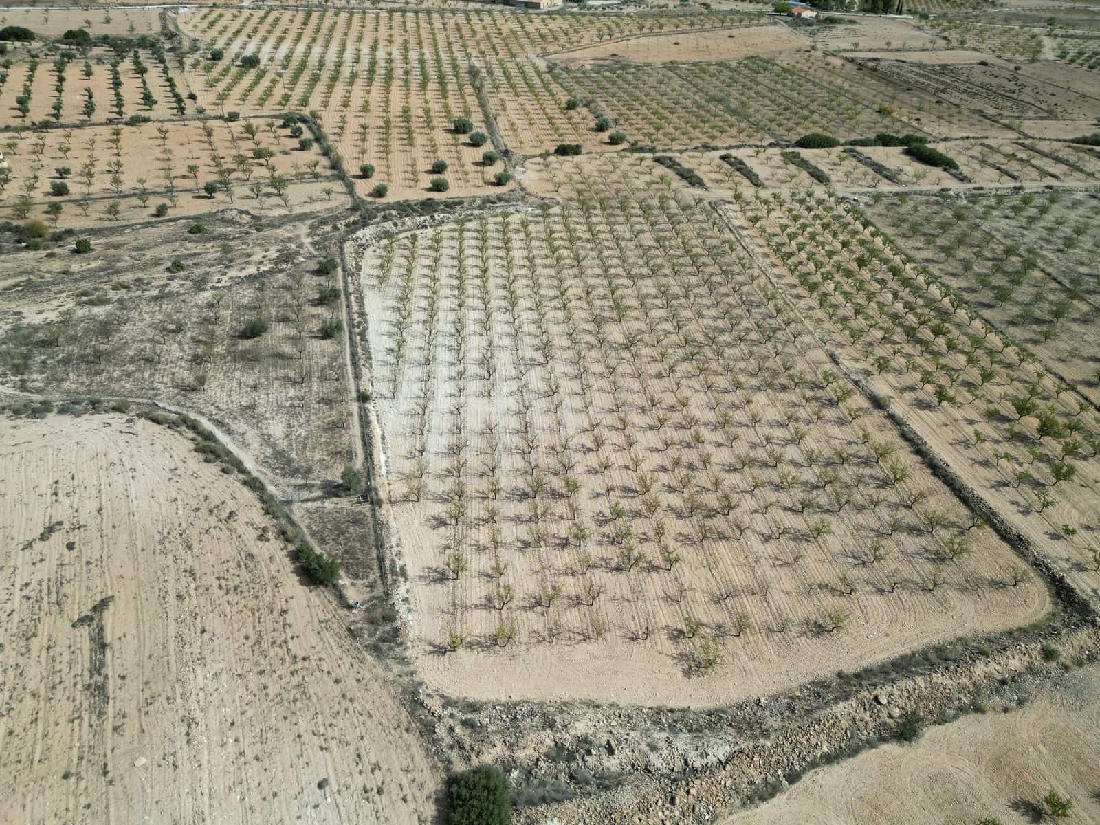 Landgrundstück zu verkaufen in Pinoso - 49.500 € (Ref: 10072823)