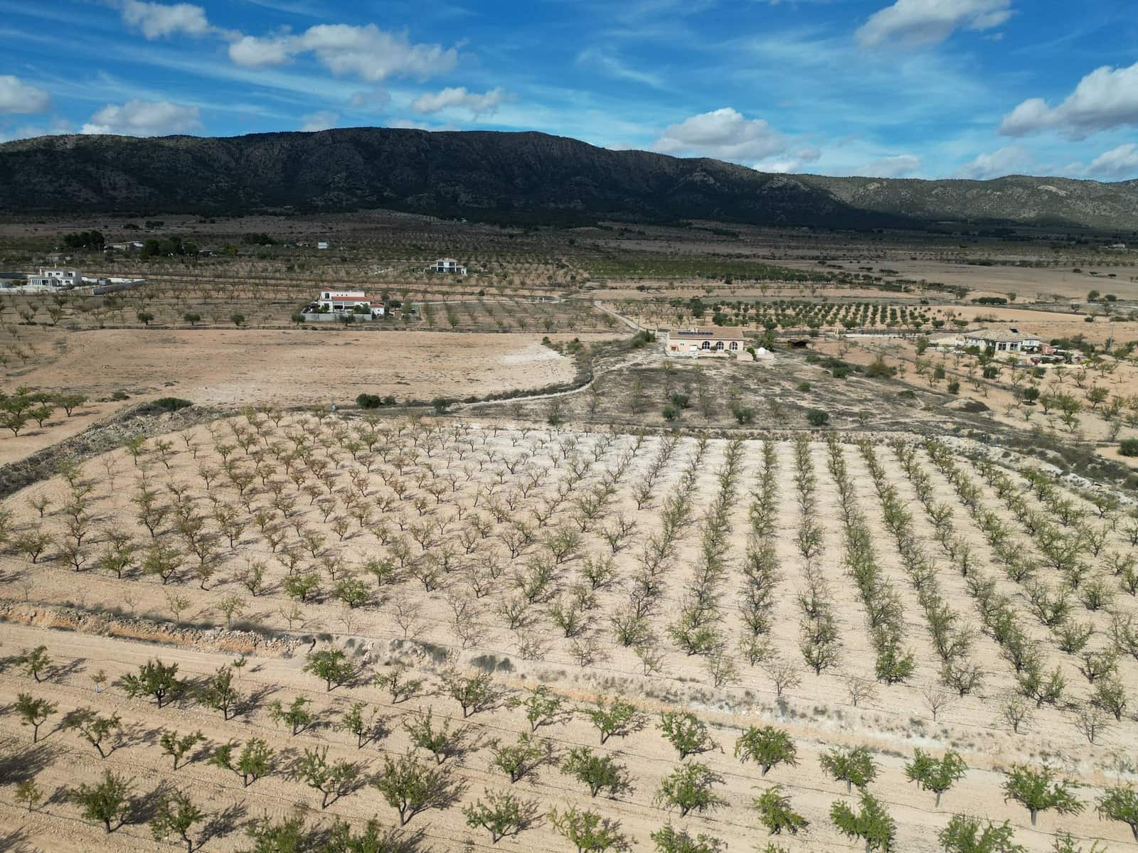 Landgrundstück zu verkaufen in Pinoso - 49.500 € (Ref: 10072823)