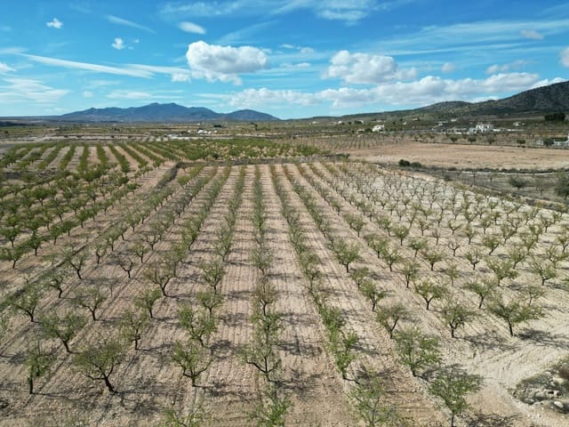 Landgrundstück zu verkaufen in Pinoso - 49.500 € (Ref: 10072823)