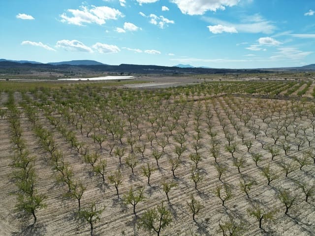 Landgrundstück zu verkaufen in Pinoso - 49.500 € (Ref: 10072823)