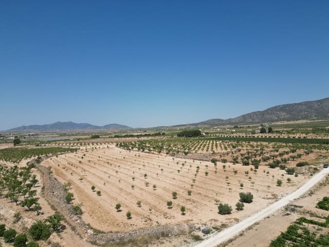 Teren niezagospodarowany na sprzedaż w Pinoso - 66 500 € (Ref: 10072829)
