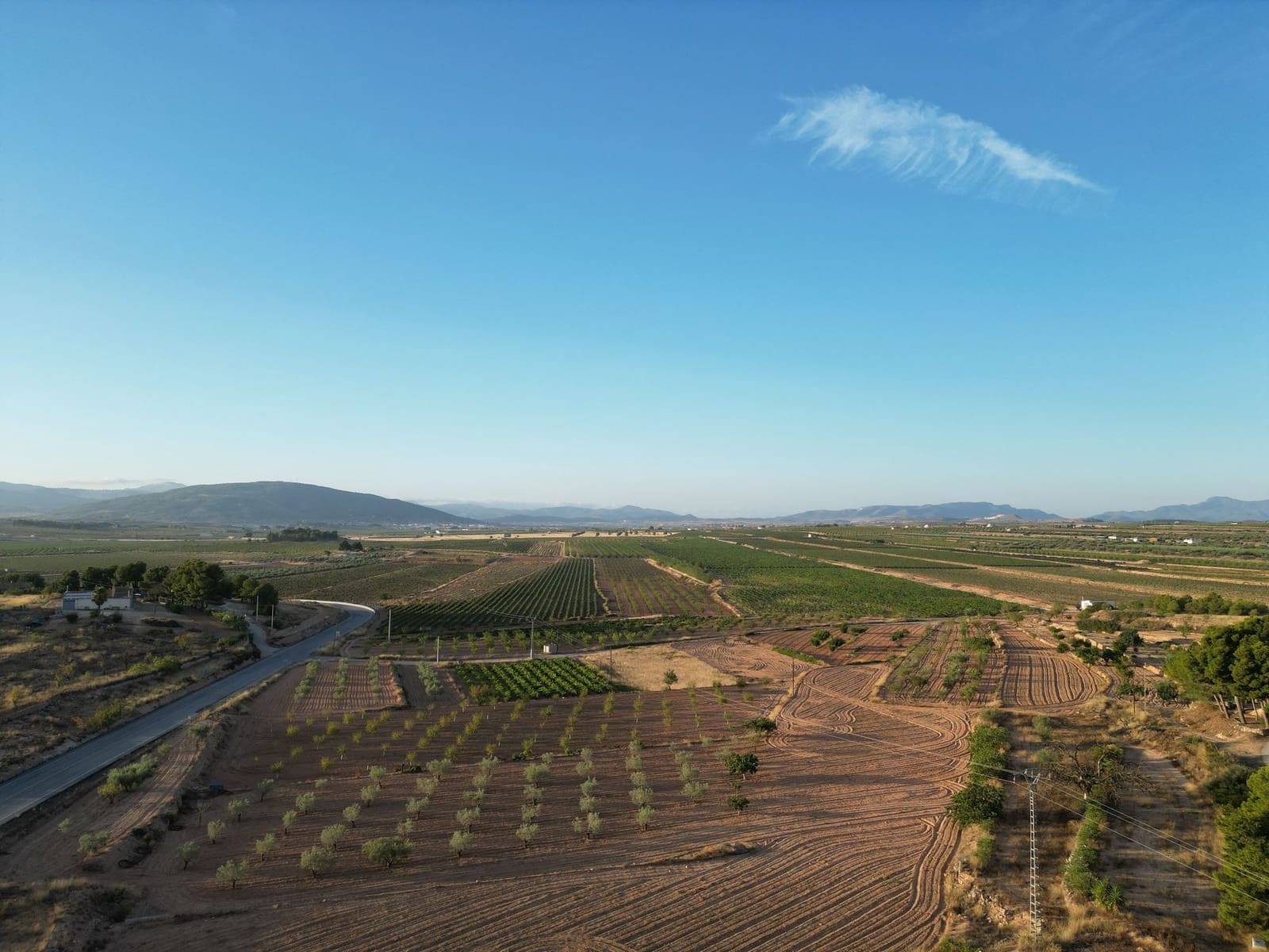 Terreno Não Urbanizado para venda em Pinoso - 49 500 € (Ref: 10072830)