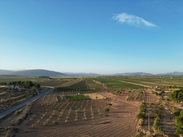 Terreno Não Urbanizado para venda em Pinoso - 49 500 € (Ref: 10072830)