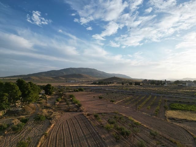Terreno Não Urbanizado para venda em Pinoso - 49 500 € (Ref: 10072830)