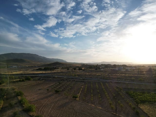 Terreno Não Urbanizado para venda em Pinoso - 49 500 € (Ref: 10072830)