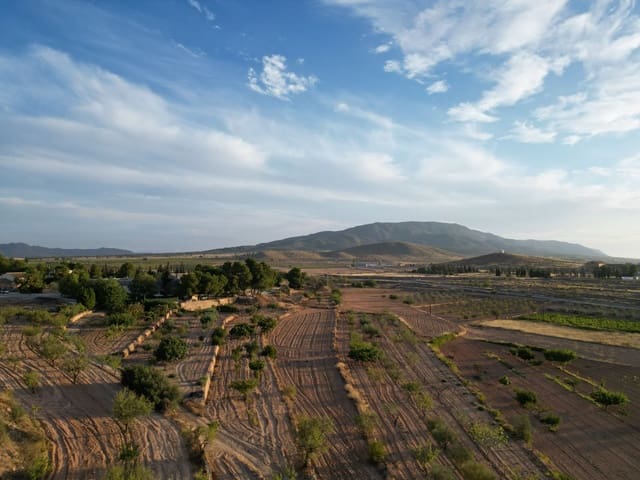 Terreno Não Urbanizado para venda em Pinoso - 49 500 € (Ref: 10072830)