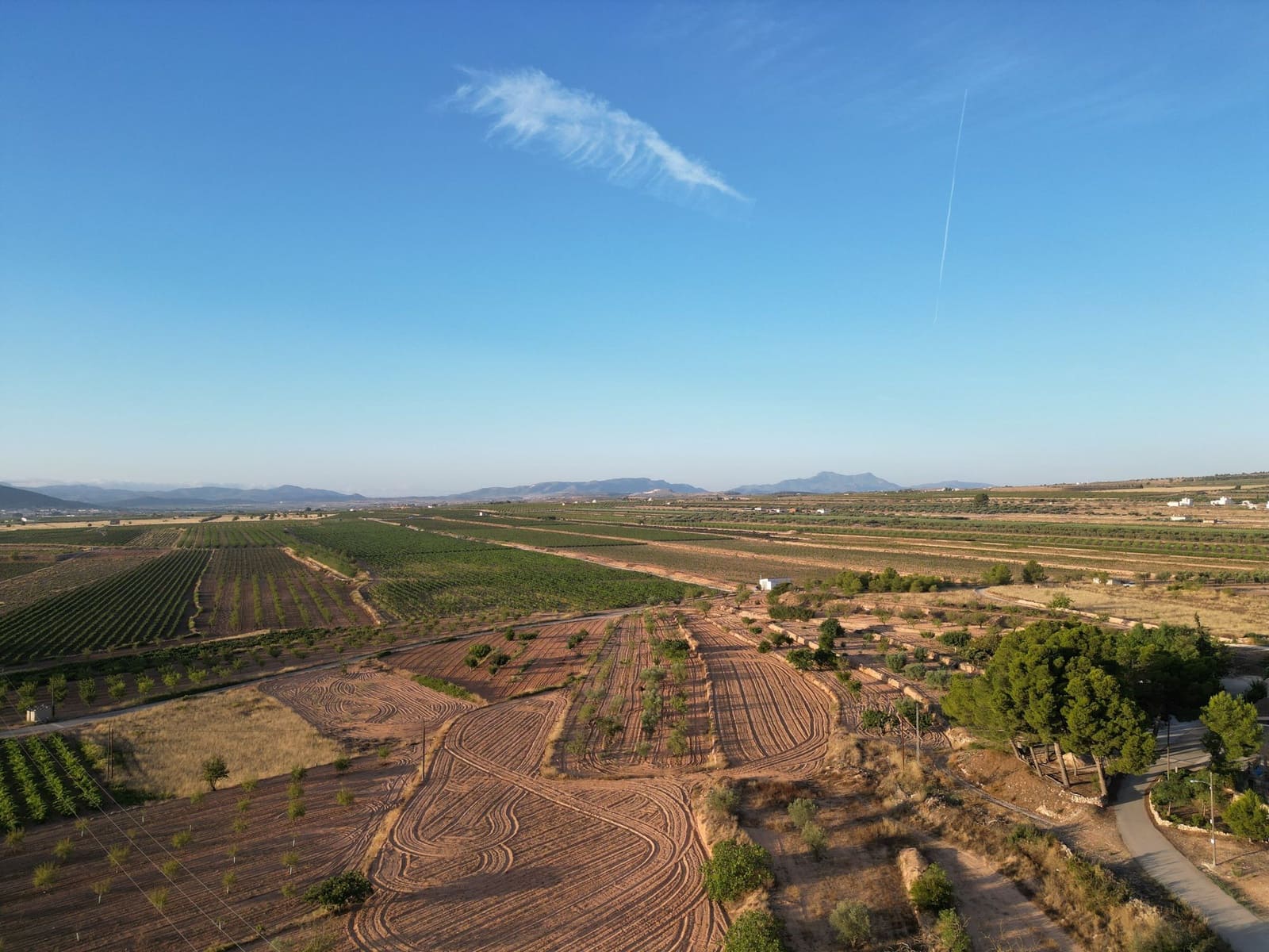 Terreno Não Urbanizado para venda em Pinoso - 49 500 € (Ref: 10072830)
