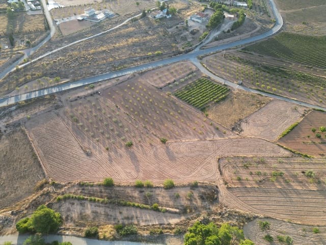 Terreno Não Urbanizado para venda em Pinoso - 49 500 € (Ref: 10072830)
