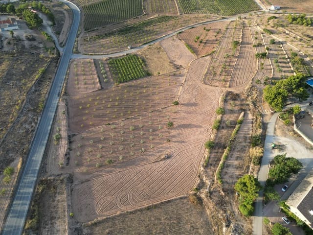 Terreno Não Urbanizado para venda em Pinoso - 49 500 € (Ref: 10072830)