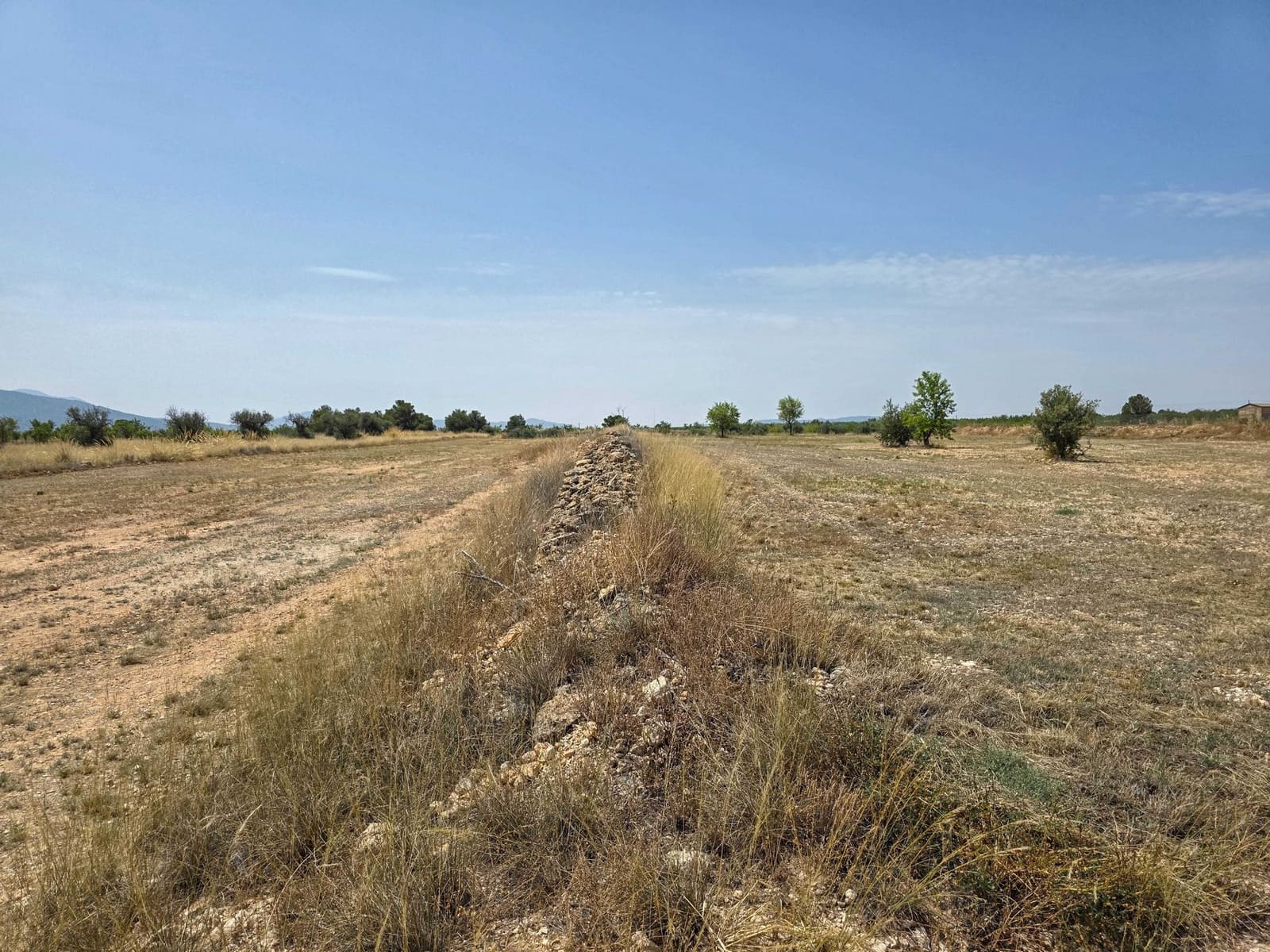 Terreno Não Urbanizado para venda em Pinoso - 69 995 € (Ref: 10072834)