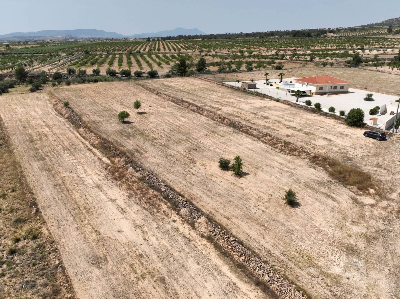 Terreno Não Urbanizado para venda em Pinoso - 69 995 € (Ref: 10072834)