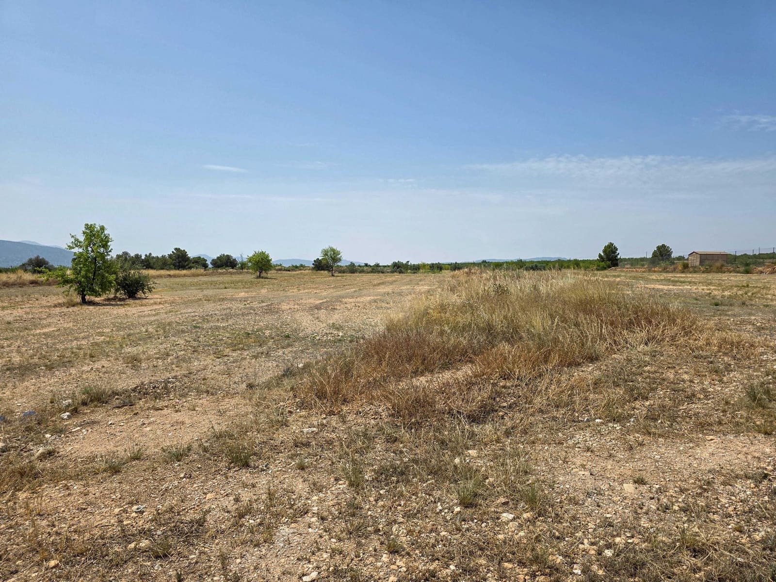 Terreno Não Urbanizado para venda em Pinoso - 69 995 € (Ref: 10072834)