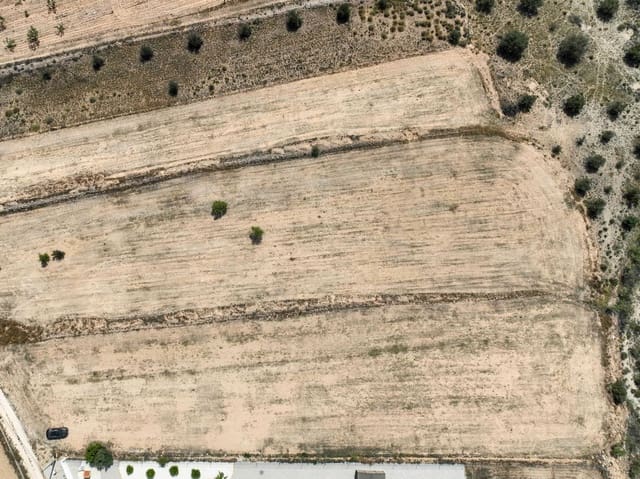 Terreno/Finca Rústica en Pinoso en venta - 69.995 € (Ref: 10072834)