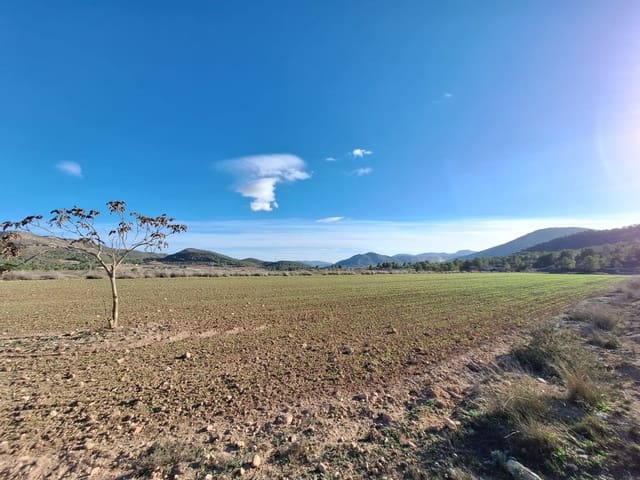 Terreno/Finca Rústica en Monóvar / Monóver en venta - 54.950 € (Ref: 10072835)