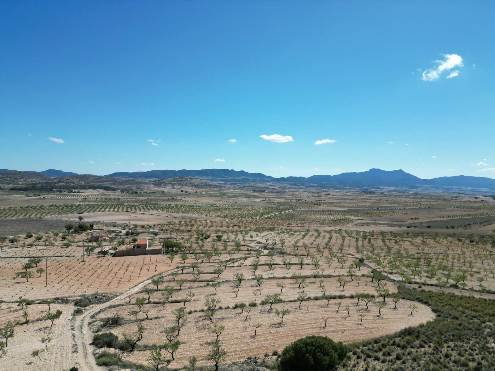 Landgrundstück zu verkaufen in Pinoso - 34.950 € (Ref: 10072837)