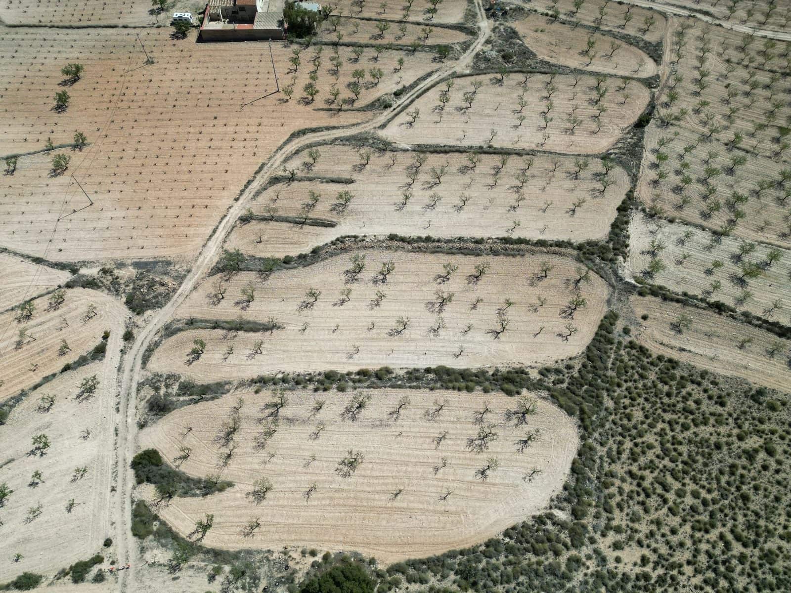 Landgrundstück zu verkaufen in Pinoso - 34.950 € (Ref: 10072837)