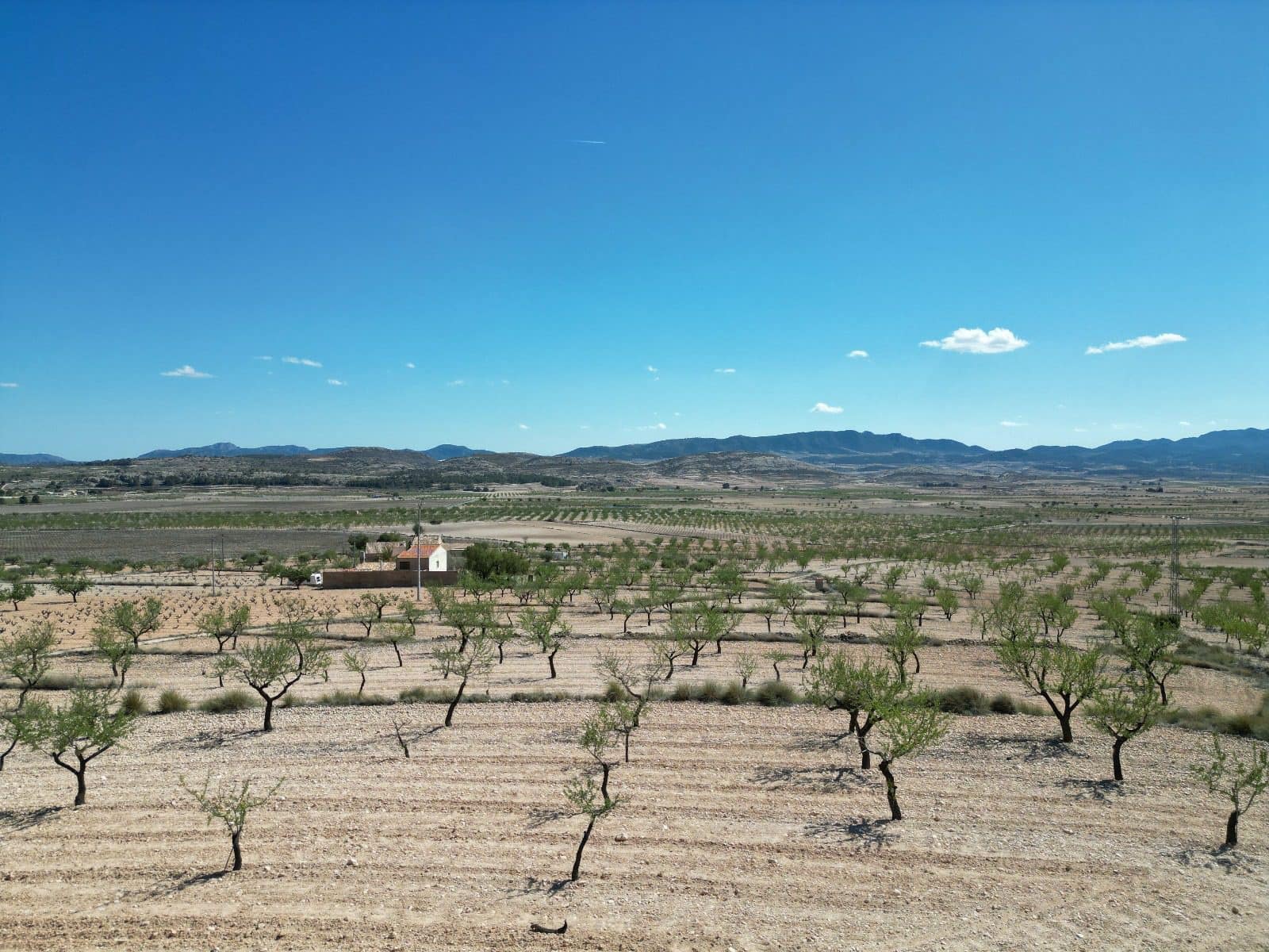 Landgrundstück zu verkaufen in Pinoso - 34.950 € (Ref: 10072837)