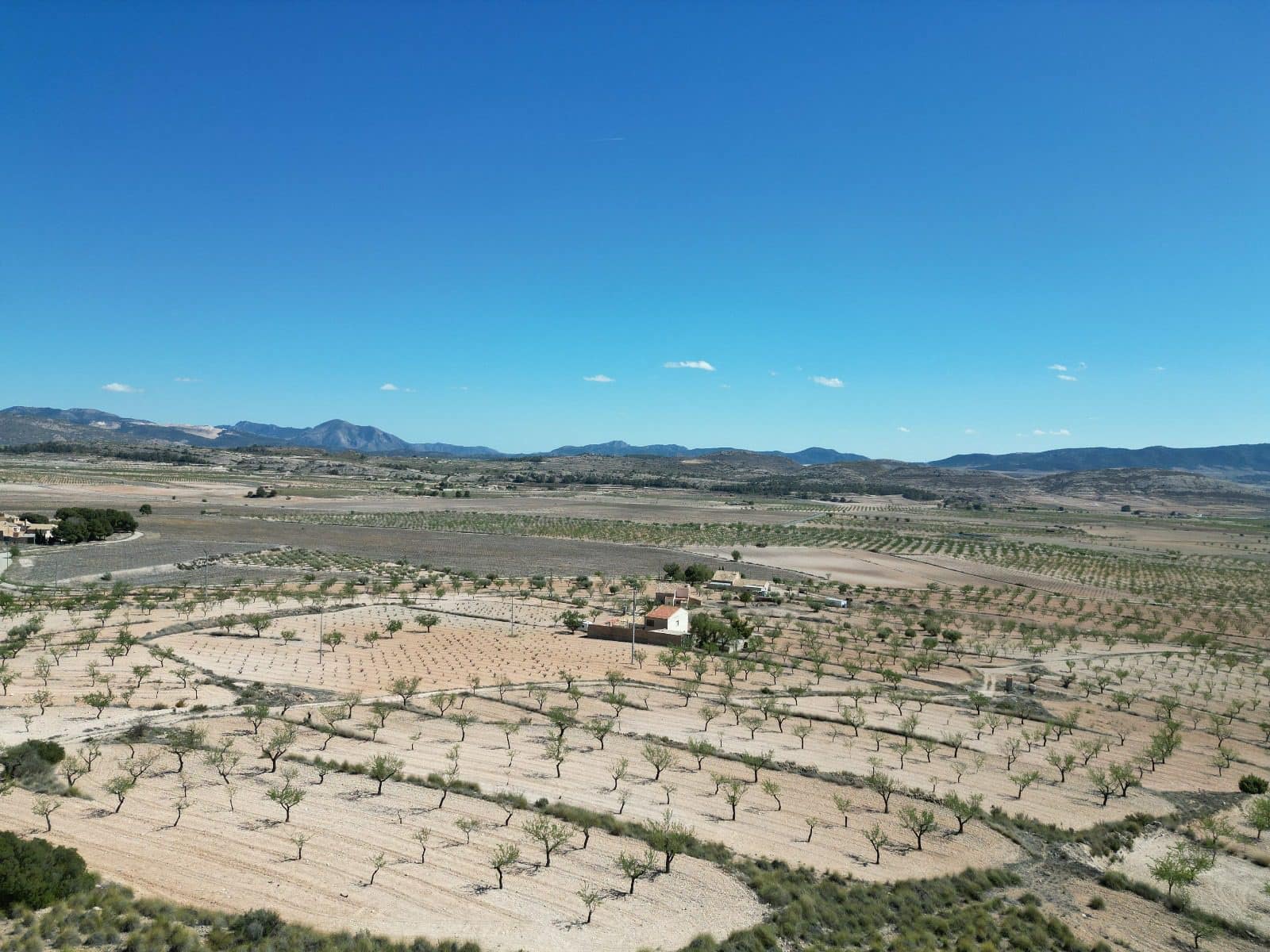 Landgrundstück zu verkaufen in Pinoso - 34.950 € (Ref: 10072837)