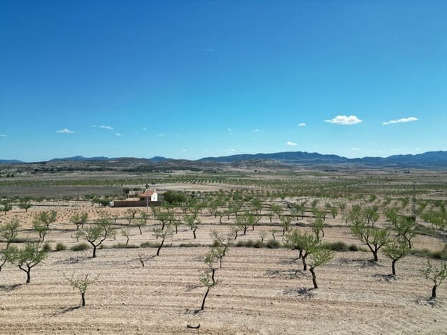 Landgrundstück zu verkaufen in Pinoso - 34.950 € (Ref: 10072837)