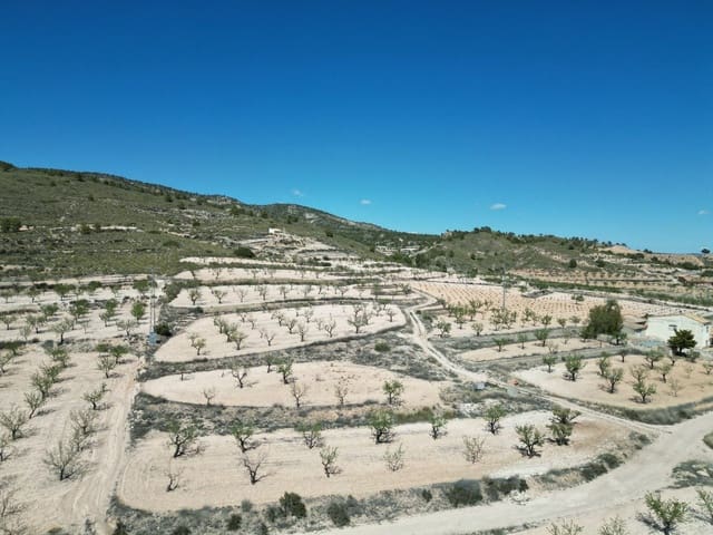Landgrundstück zu verkaufen in Pinoso - 34.950 € (Ref: 10072837)